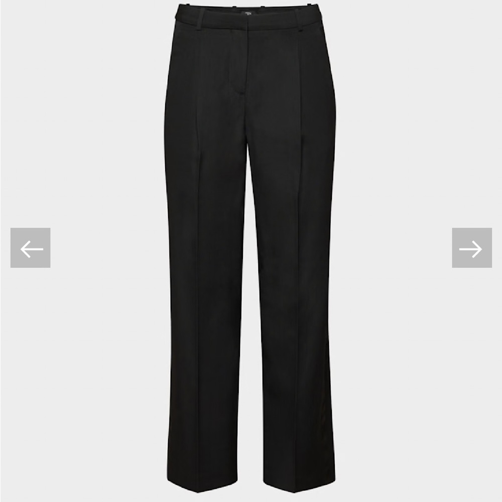 Aritiza Suit Pants